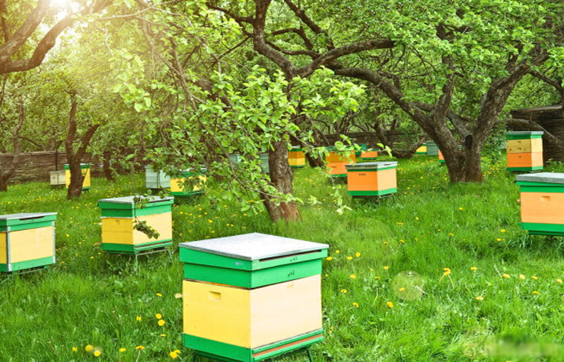 Катеринославське товариство бджільництва