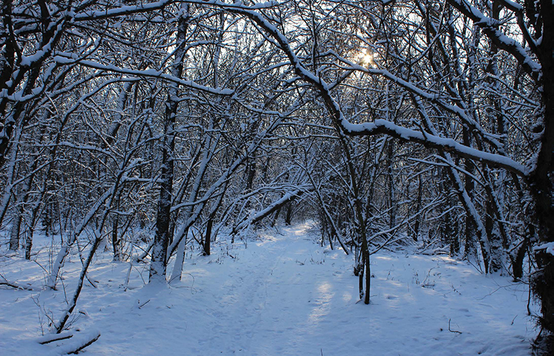 Острів Городище. Урочища